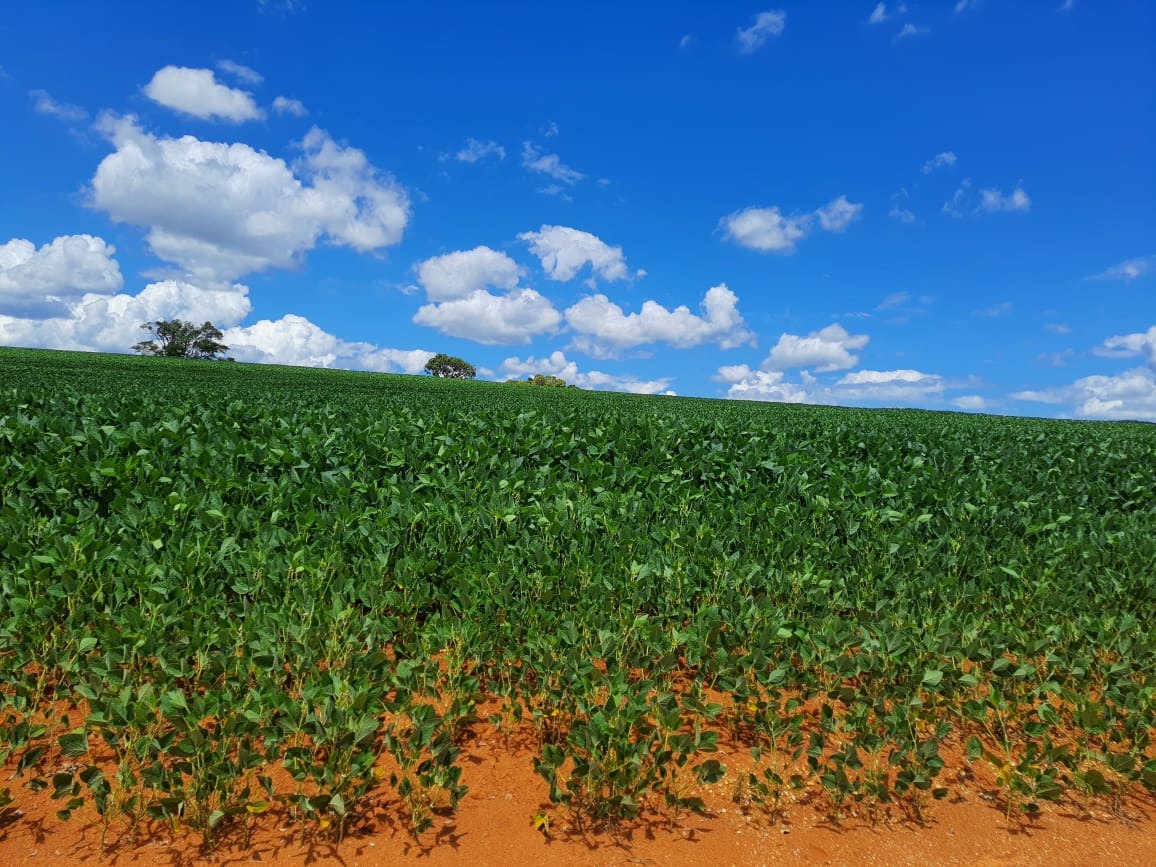 Sítio, 20 m² - Foto 3