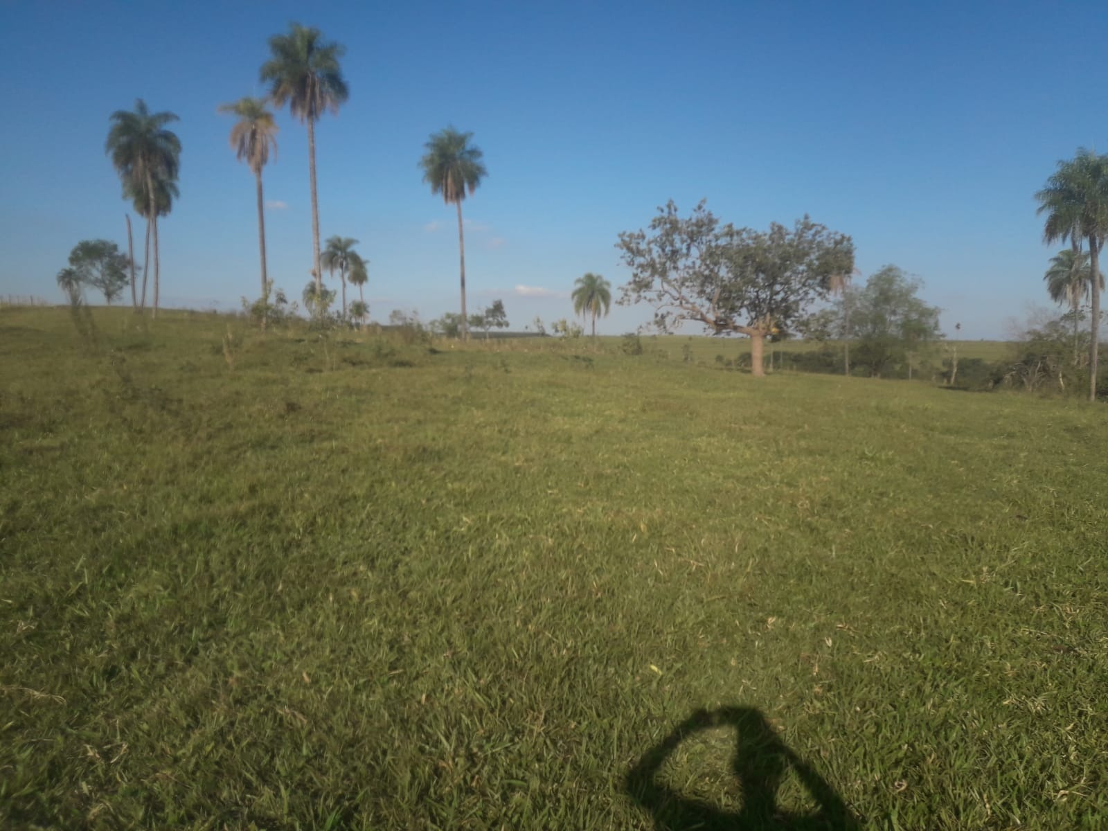 Fazenda, 172 m² - Foto 1