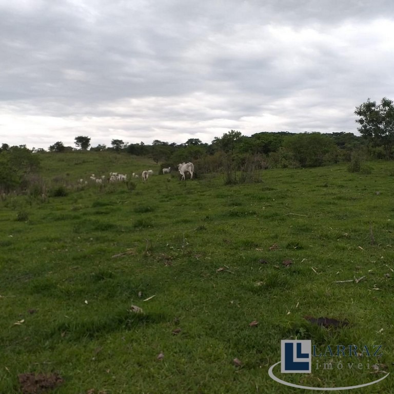 Fazenda, 73 m² - Foto 5