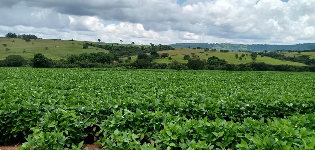 Fazenda, 120 m² - Foto 1