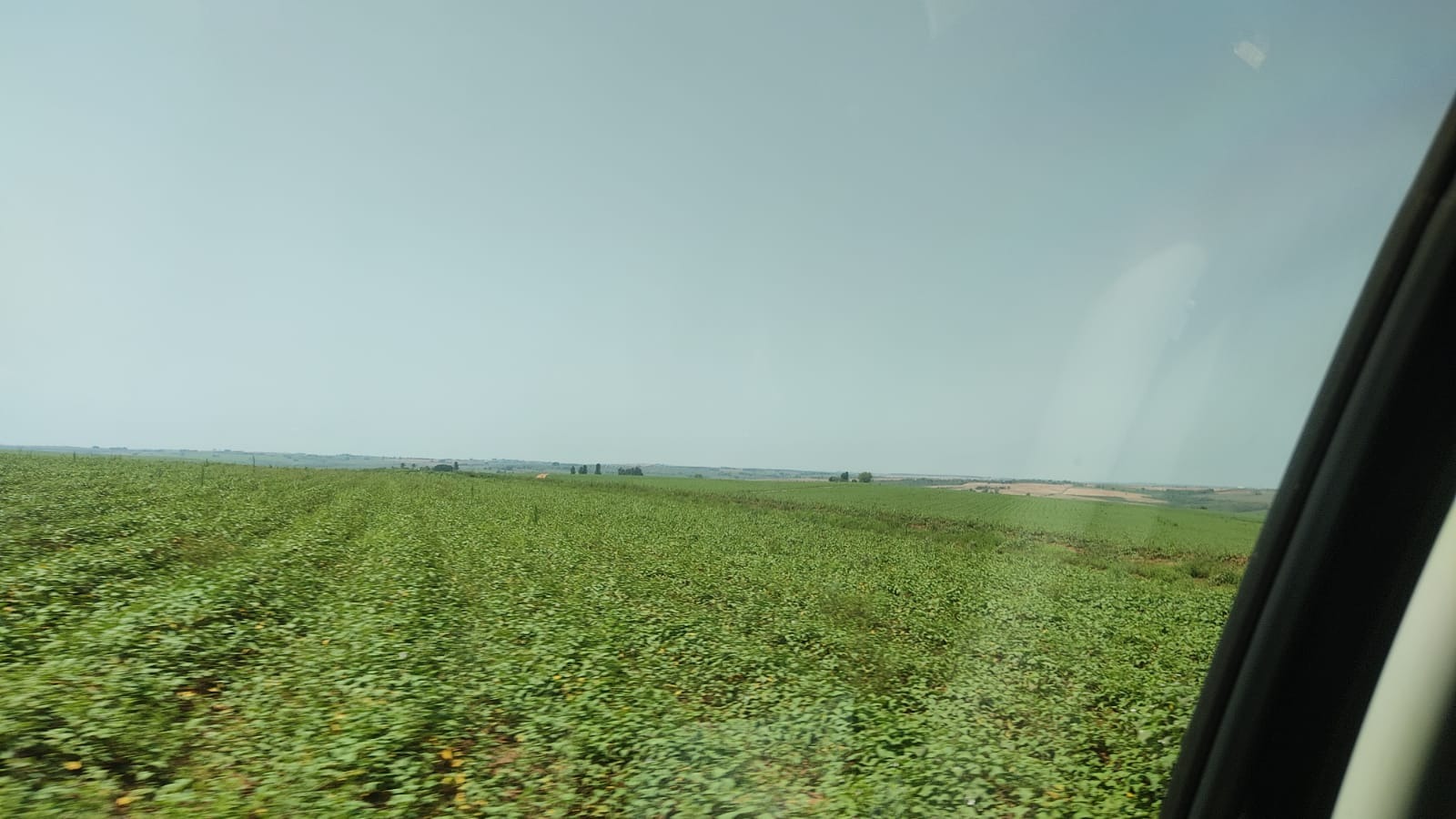 Fazenda, 172 m² - Foto 5