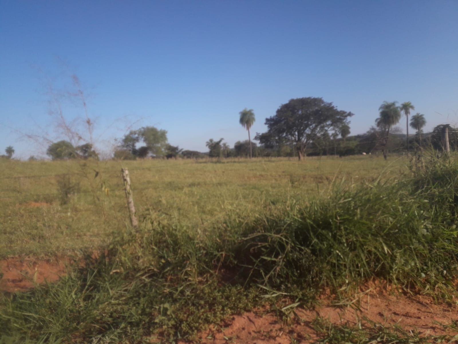 Fazenda, 172 m² - Foto 2