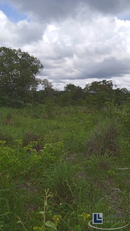 Sítio, 29 m² - Foto 2