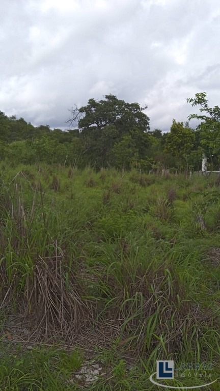 Sítio, 29 m² - Foto 5