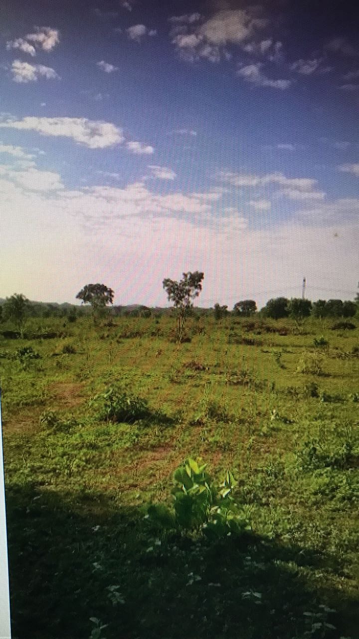 Fazenda, 1859 m² - Foto 3