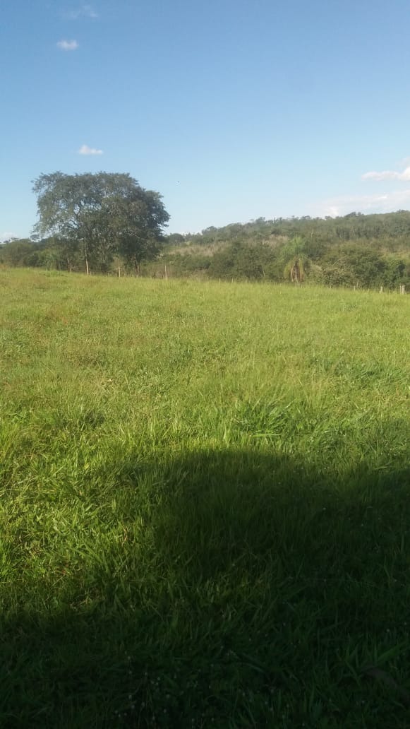 Sítio, 3 m² - Foto 1