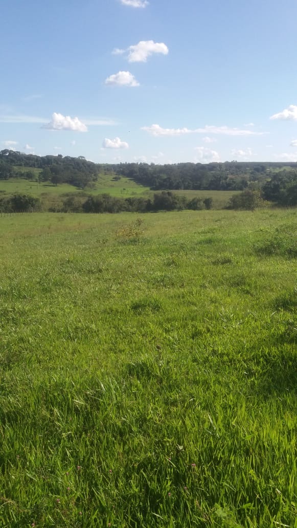 Sítio, 3 m² - Foto 2