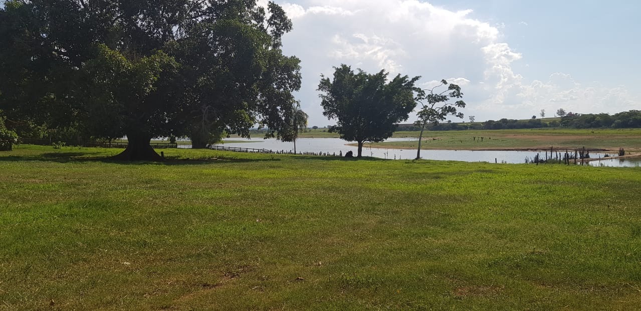 Fazenda, 205 m² - Foto 3