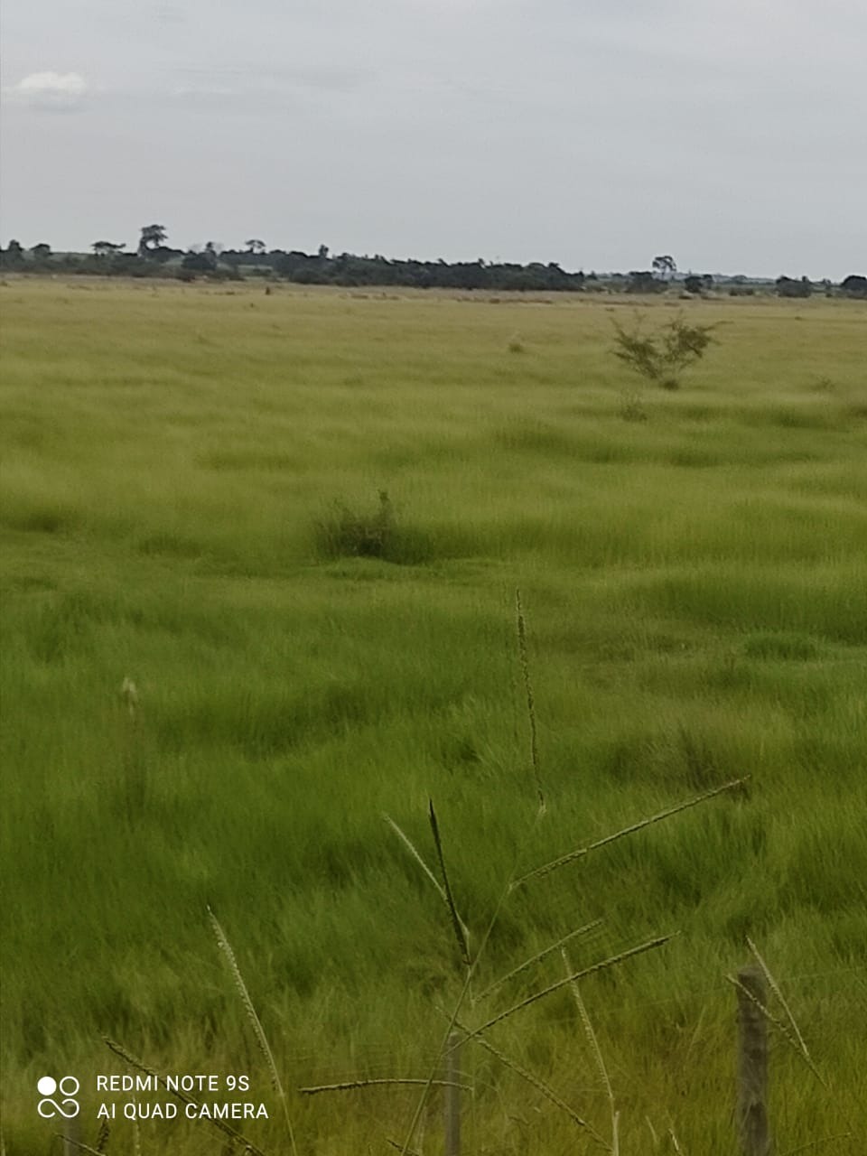 Fazenda, 760 m² - Foto 2