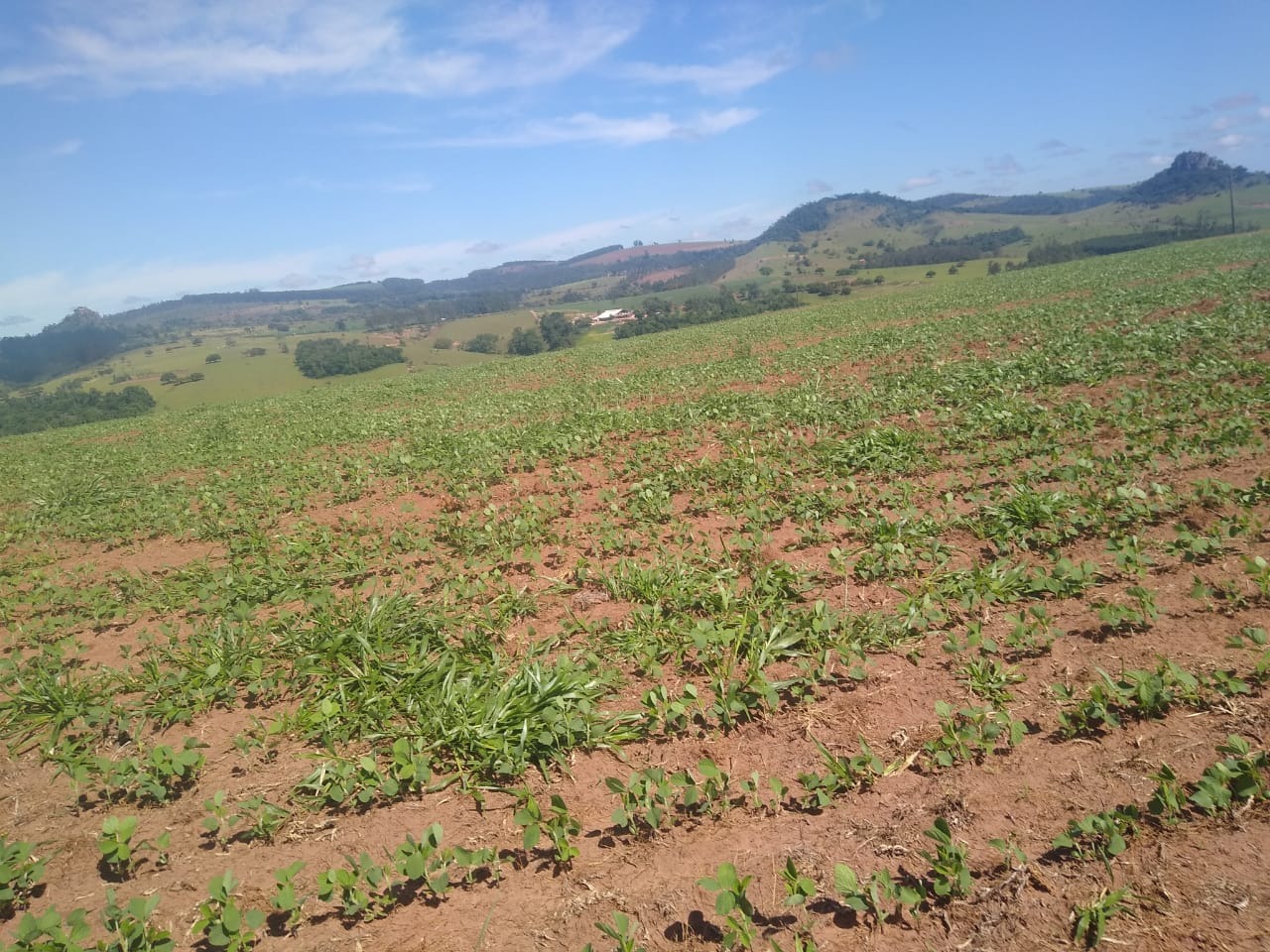 Fazenda, 94 m² - Foto 1