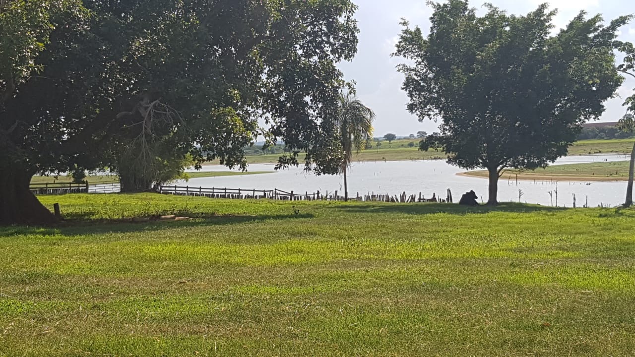 Fazenda, 205 m² - Foto 4