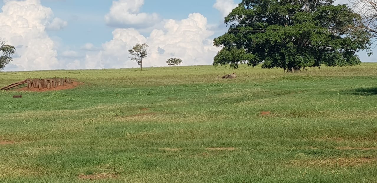 Fazenda, 205 m² - Foto 1