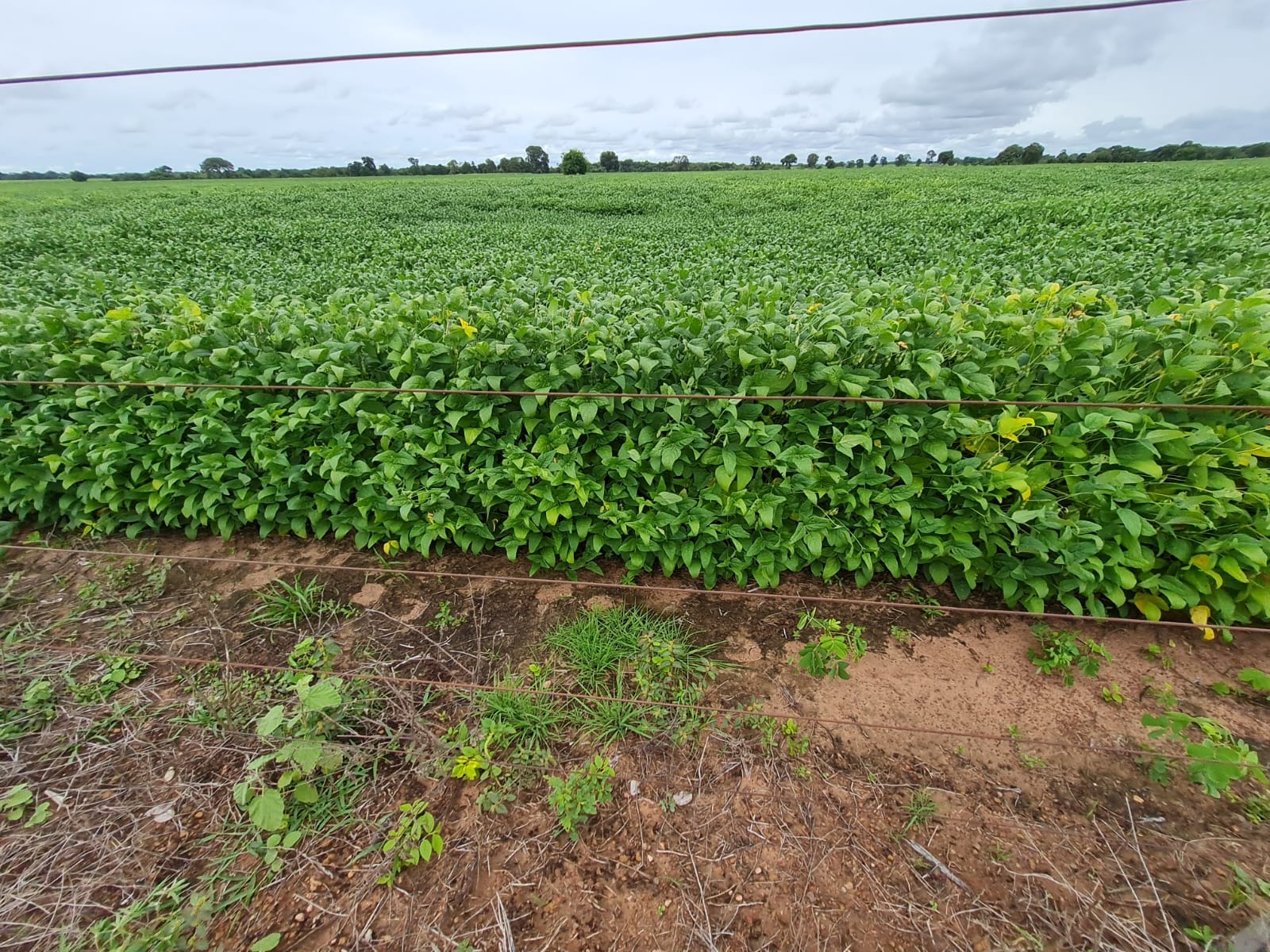 Fazenda, 785 m² - Foto 1