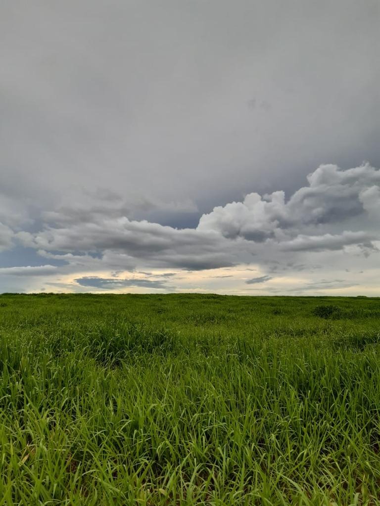 Fazenda, 1012 m² - Foto 2