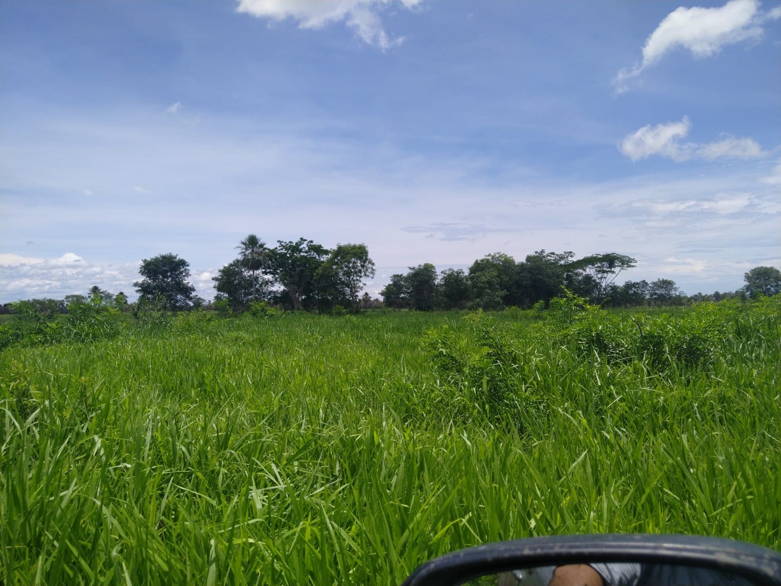 Fazenda, 822 m² - Foto 1