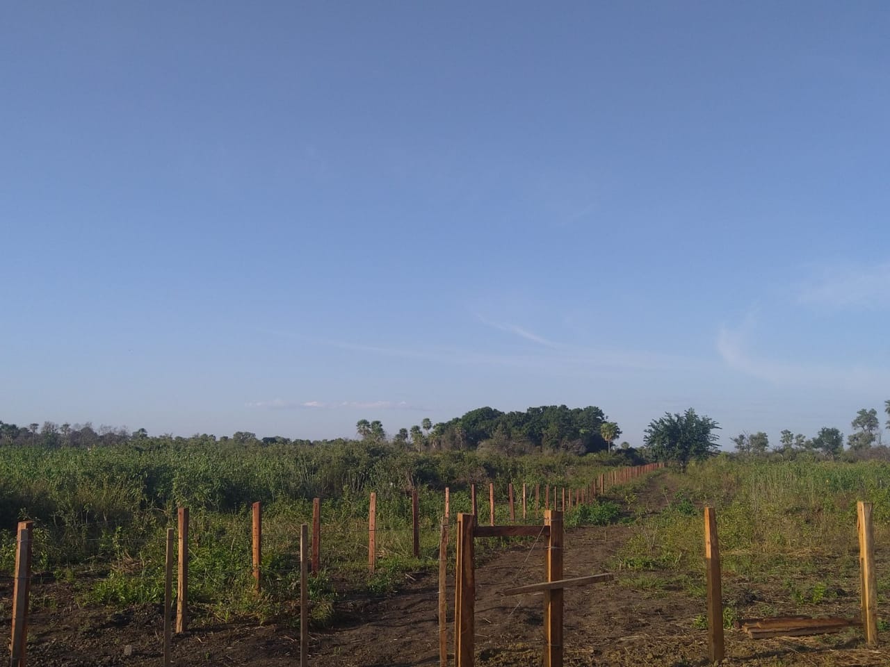 Fazenda, 822 m² - Foto 3