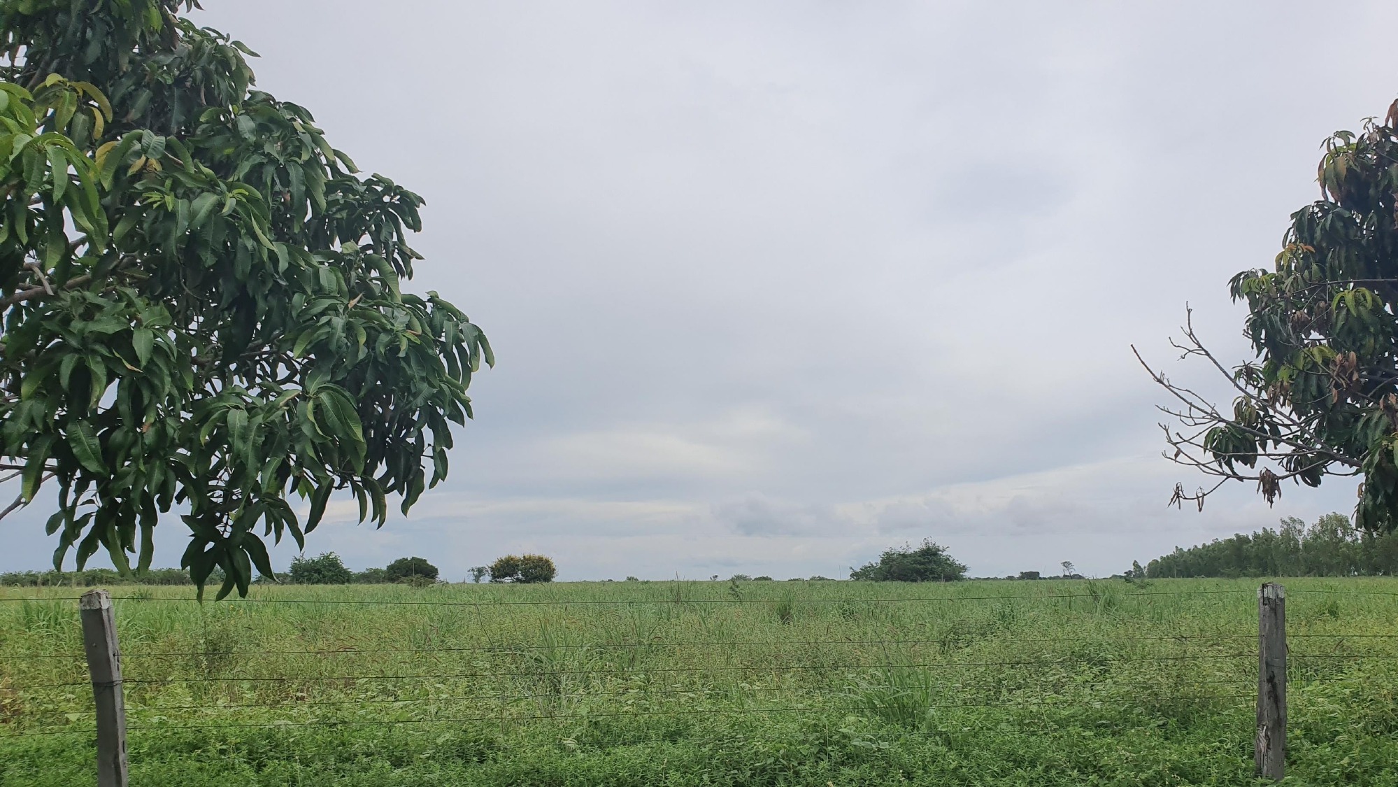 Fazenda, 4752 m² - Foto 1