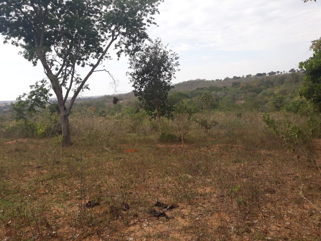 Fazenda, 87 m² - Foto 2