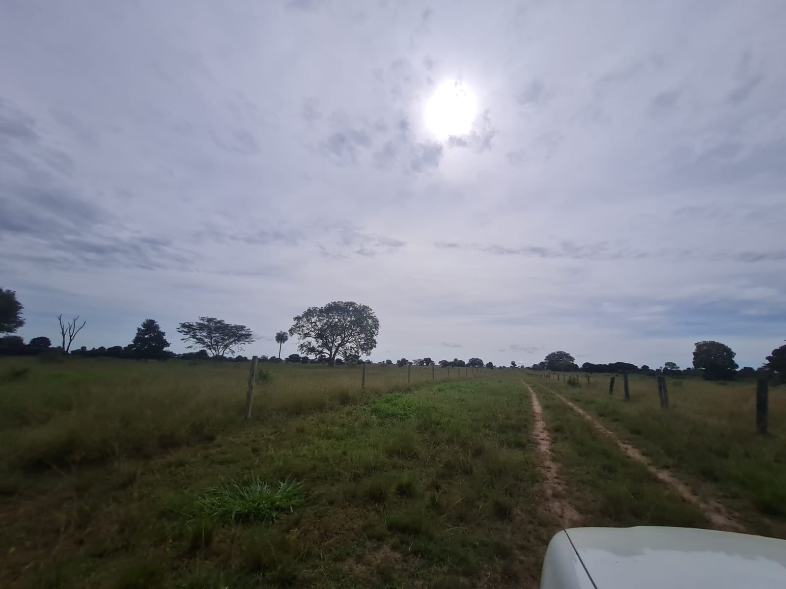 Fazenda, 867 m² - Foto 2