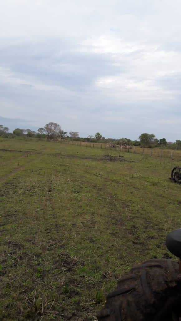 Fazenda, 653 m² - Foto 3