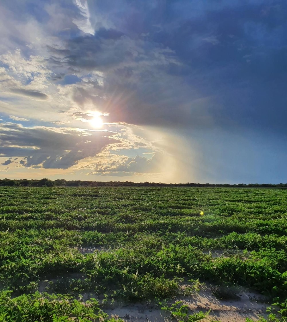 Fazenda, 4752 m² - Foto 3