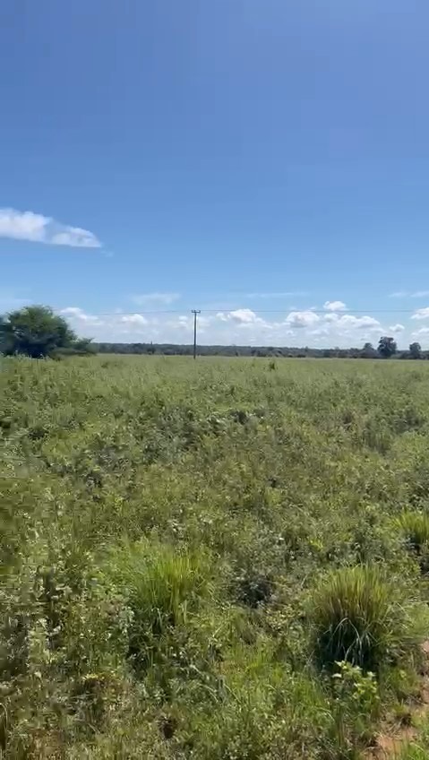 Fazenda, 661 m² - Foto 3