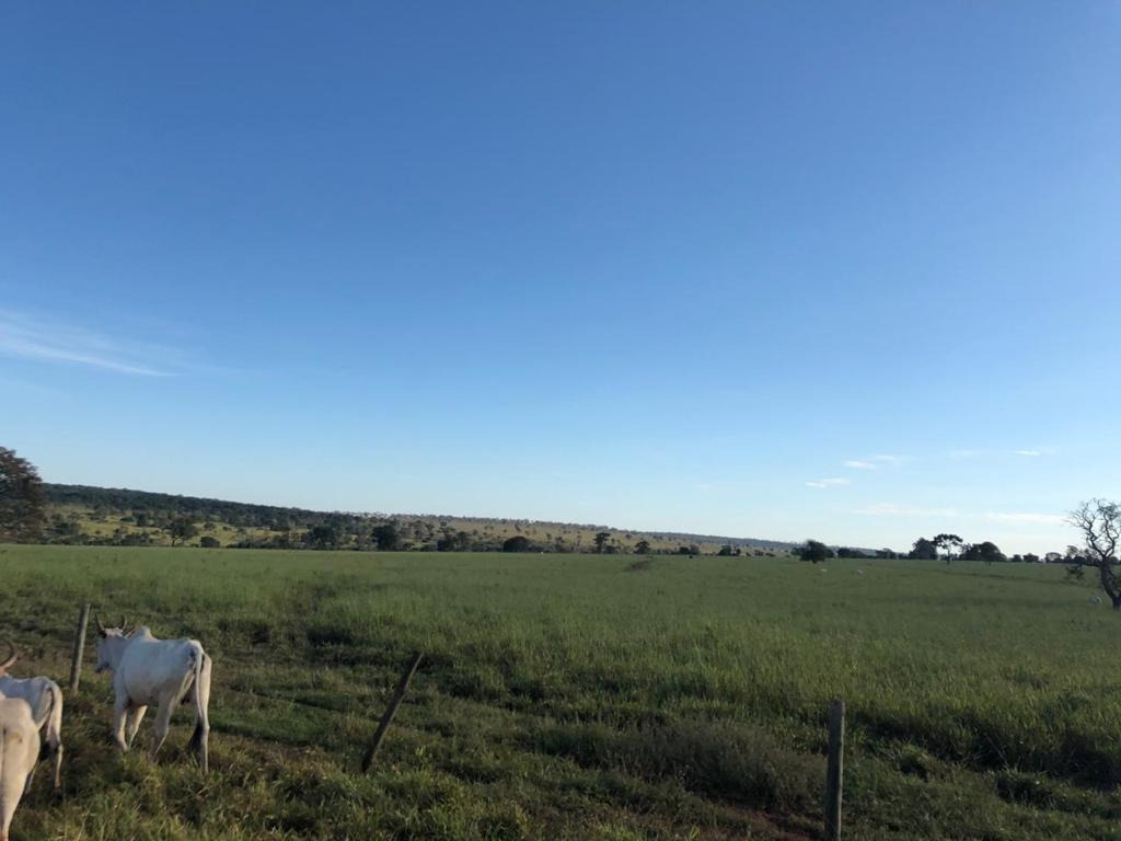 Fazenda, 150 m² - Foto 1