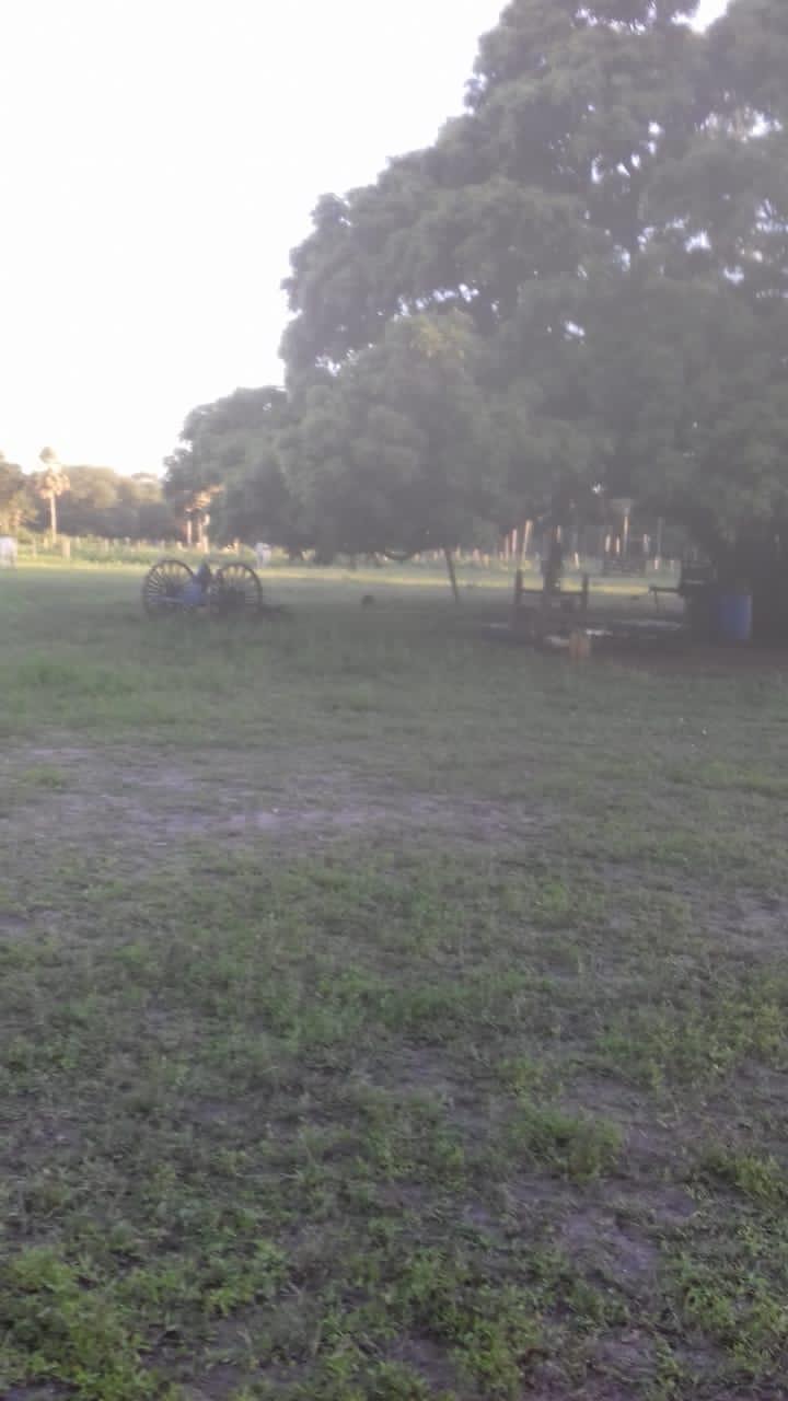 Fazenda, 653 m² - Foto 5