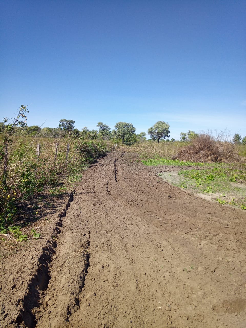 Fazenda, 822 m² - Foto 5