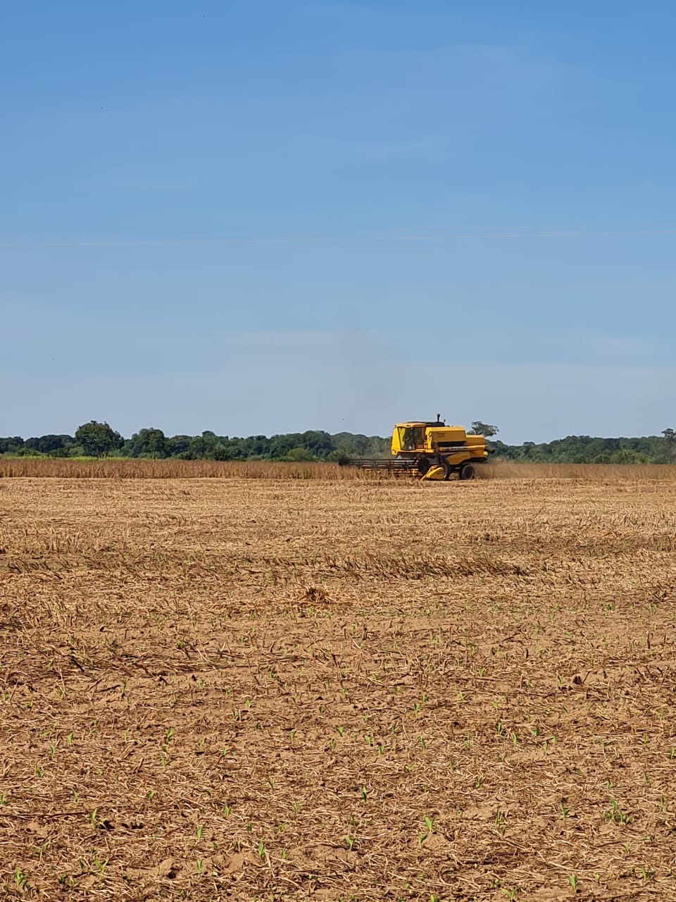 Fazenda, 785 m² - Foto 4