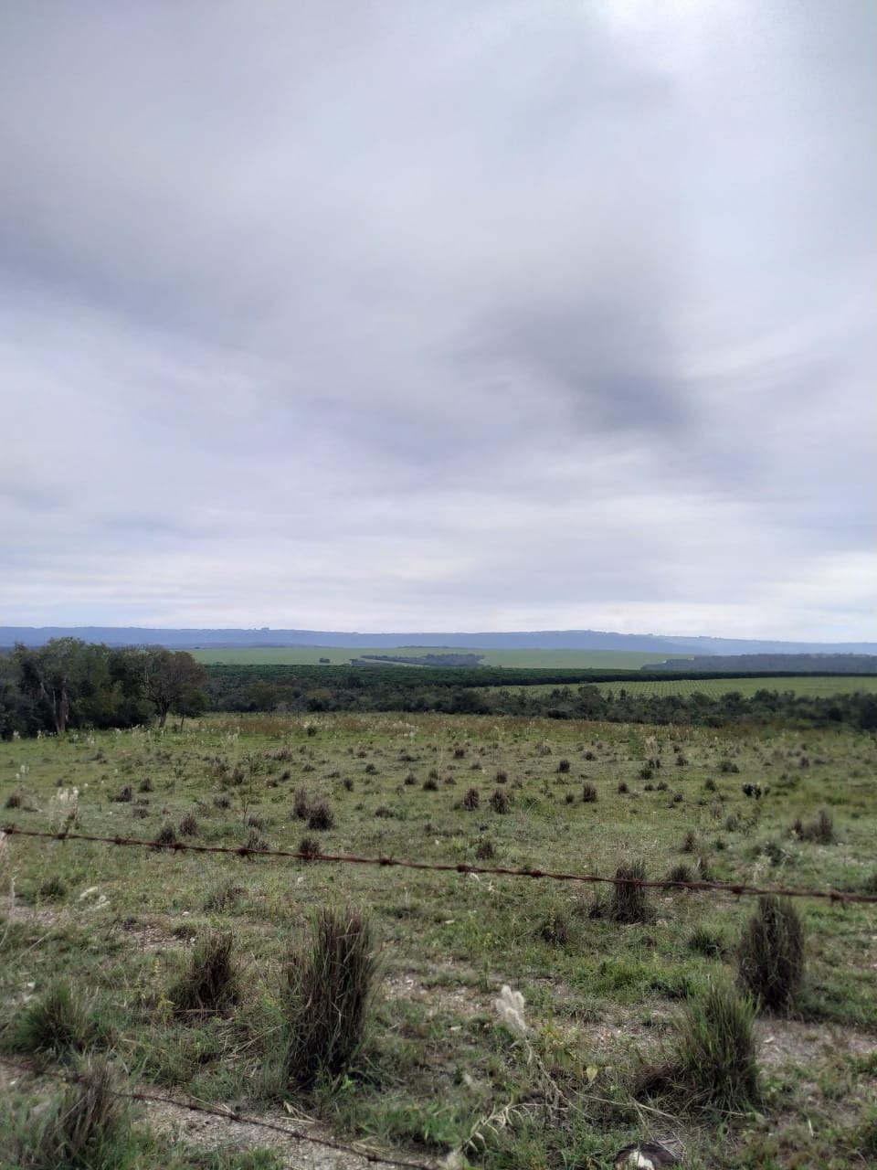 Fazenda, 46 m² - Foto 3