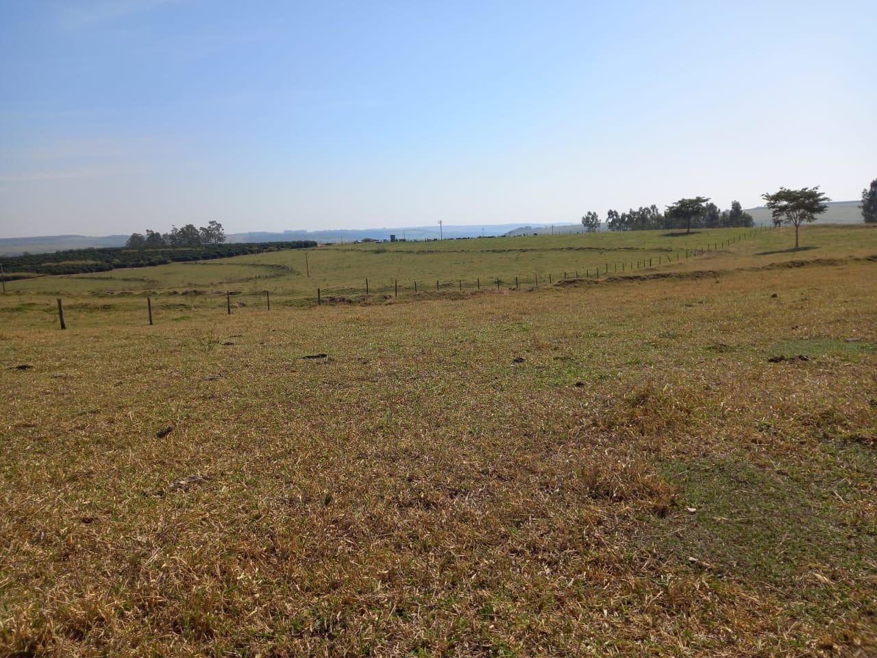 Fazenda, 76 m² - Foto 6