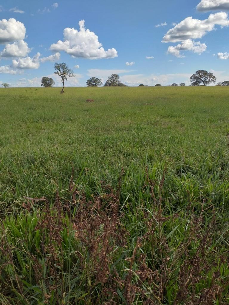 Fazenda, 410 m² - Foto 4