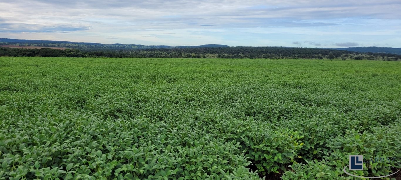 Fazenda, 103 m² - Foto 4