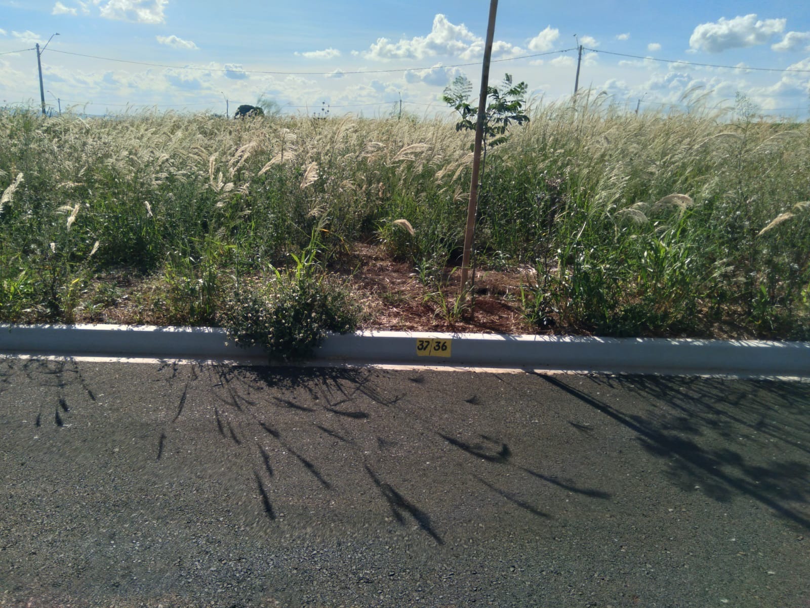 Terreno, 200 m² - Foto 3