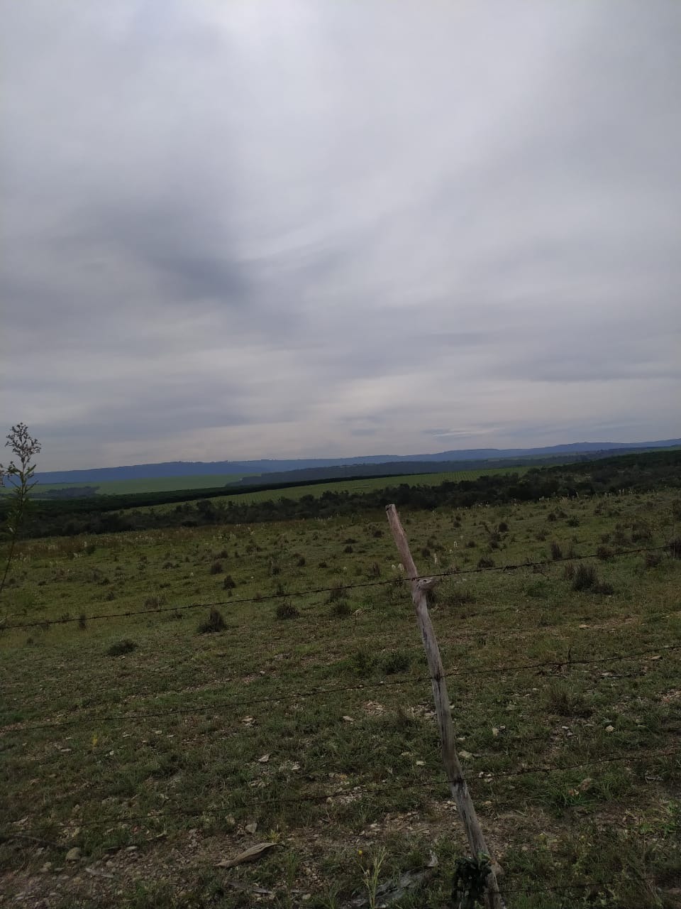 Fazenda, 46 m² - Foto 2