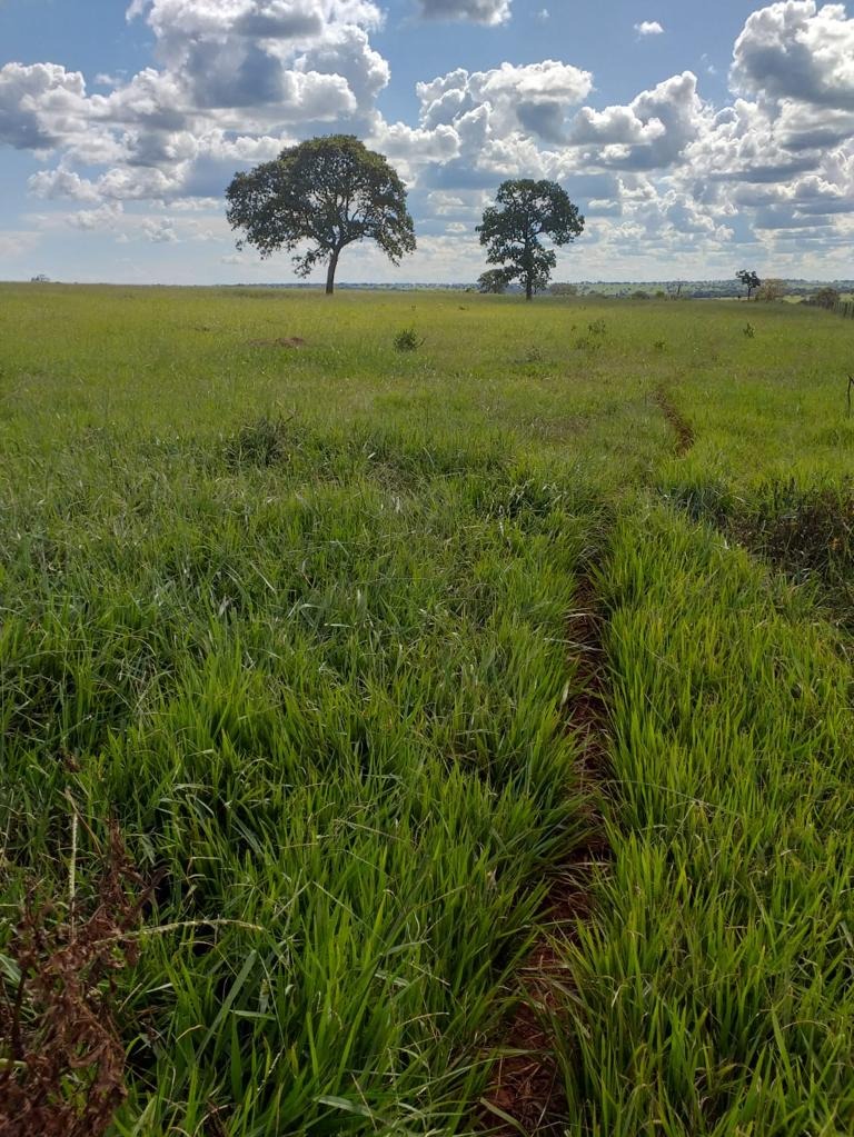 Fazenda, 410 m² - Foto 3