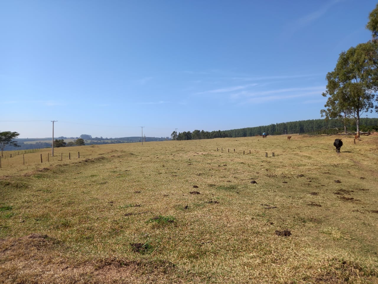 Fazenda, 76 m² - Foto 8