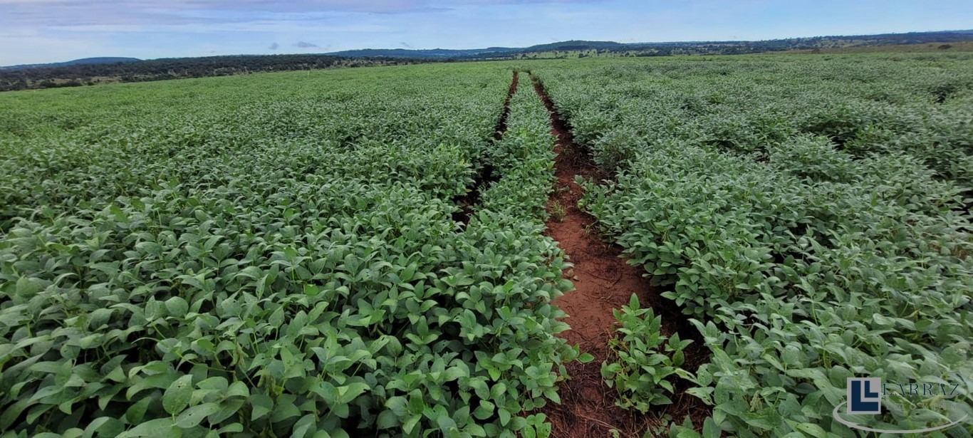 Fazenda, 103 m² - Foto 1