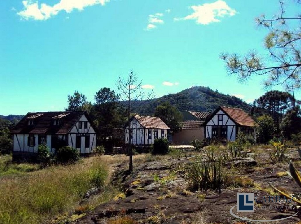 Chácara, 10000 m² - Foto 4