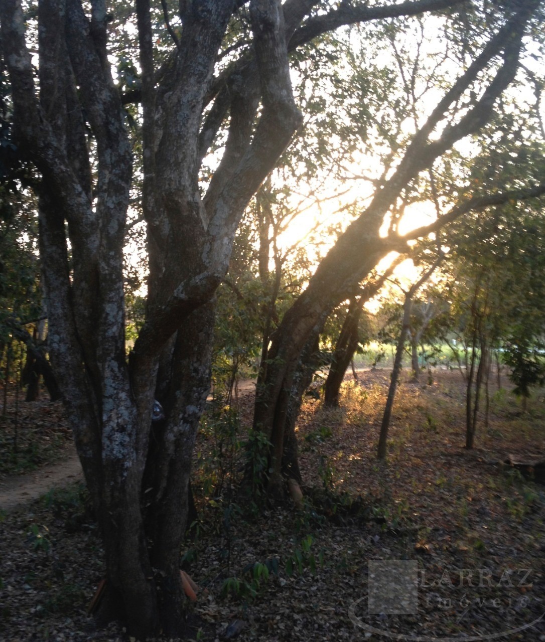 Terreno, 2 hectares - Foto 3