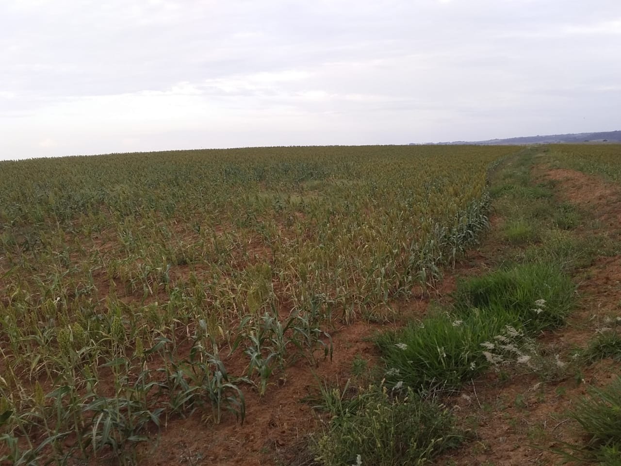 Fazenda, 40 m² - Foto 4