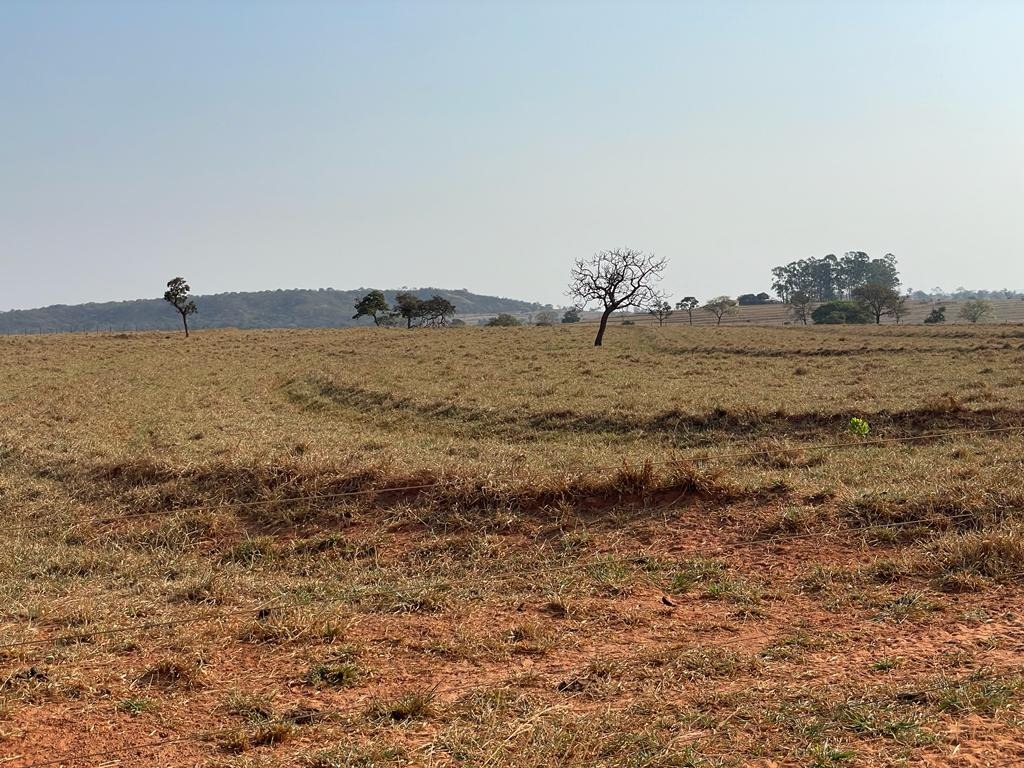 Fazenda, 115 m² - Foto 4