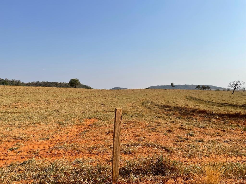 Fazenda, 115 m² - Foto 3