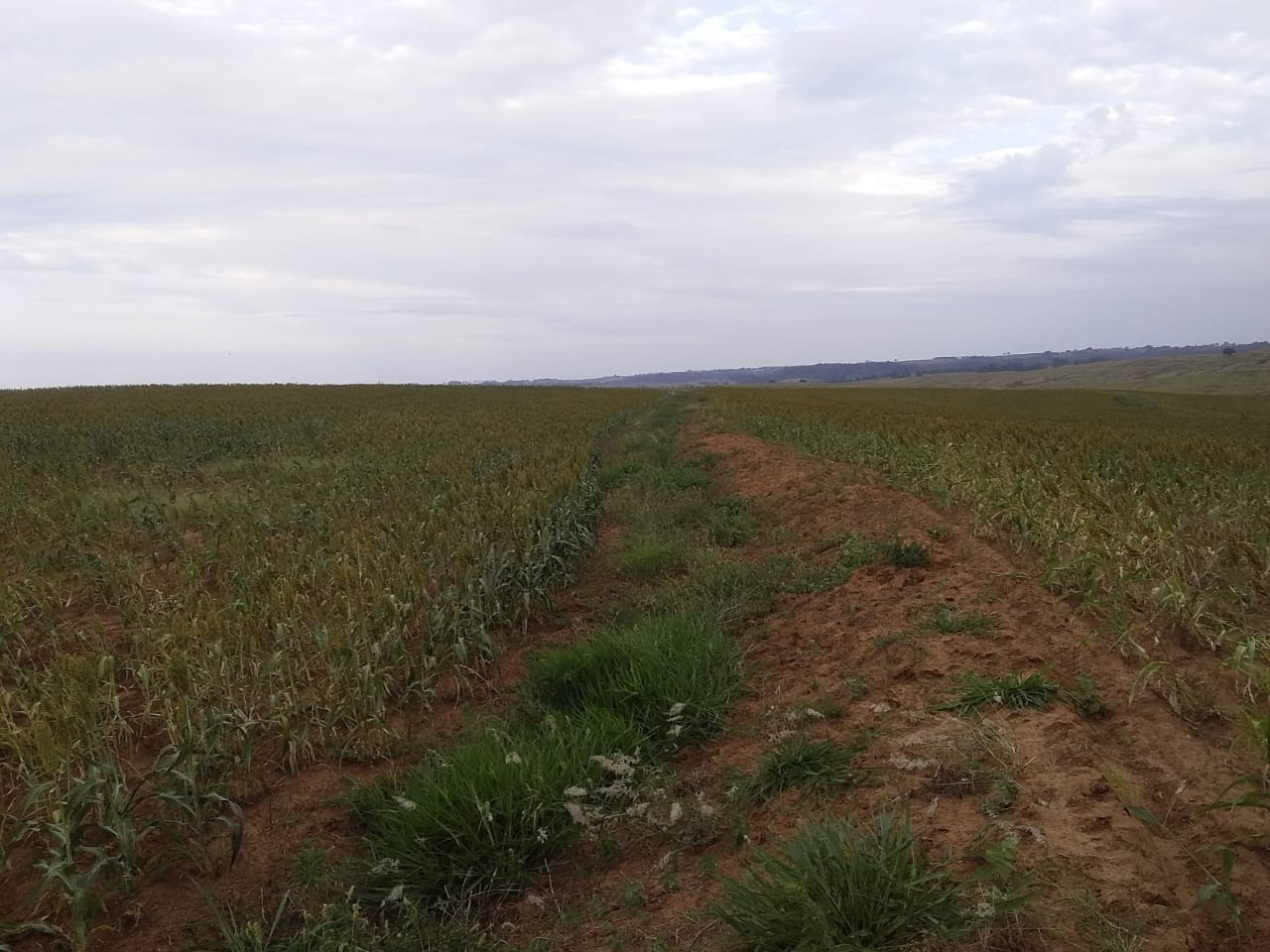 Fazenda, 40 m² - Foto 3