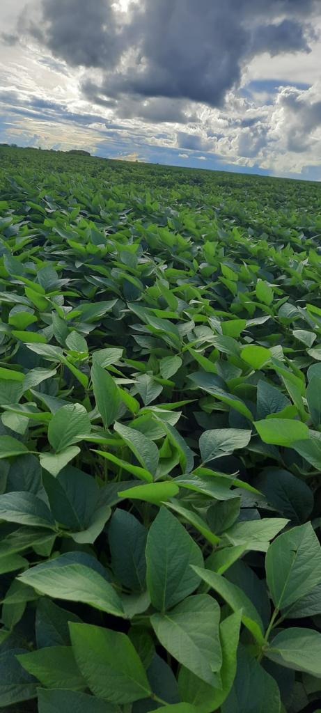 Fazenda, 108 m² - Foto 4