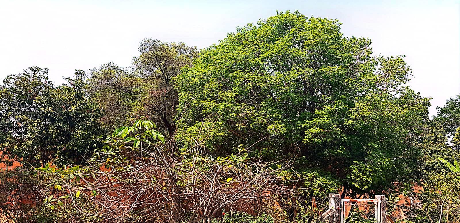 Chácara, 6 quartos, 2524 m² - Foto 23