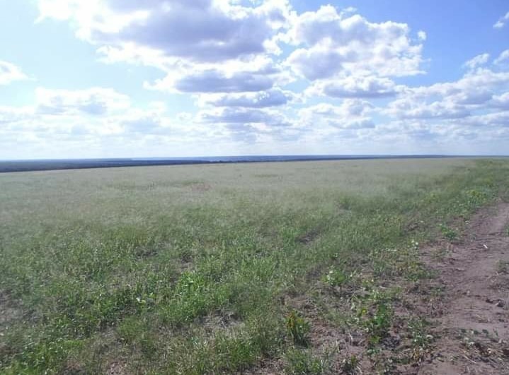 Fazenda, 536 m² - Foto 1