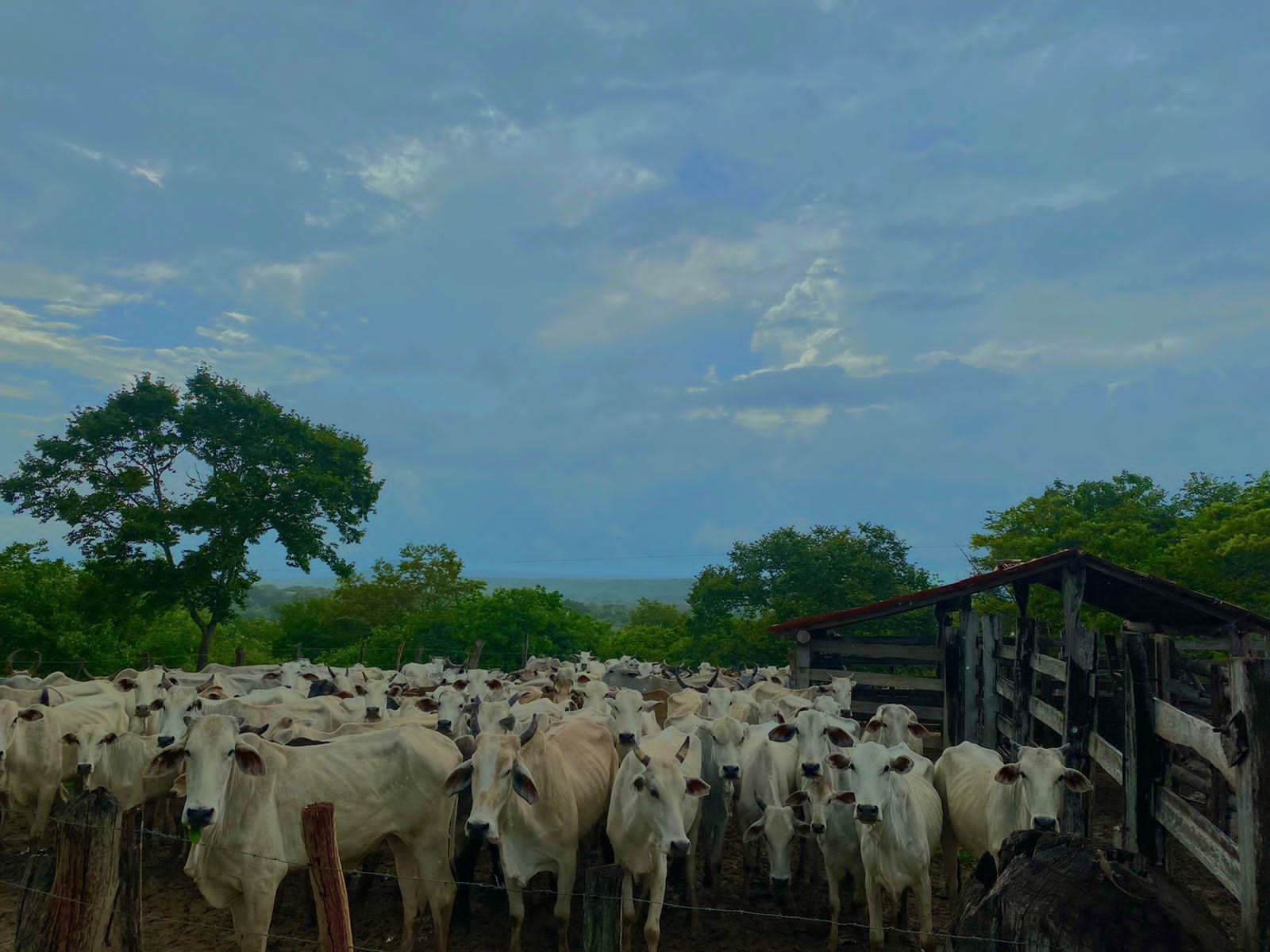 Fazenda, 216 m² - Foto 2