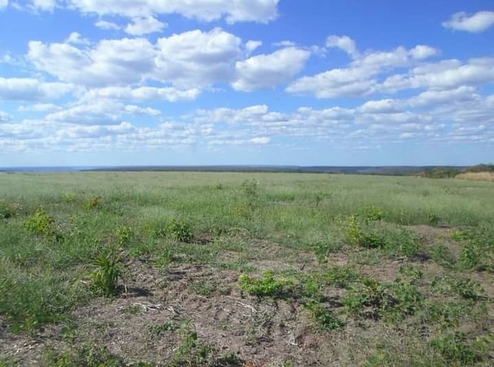 Fazenda, 536 m² - Foto 3